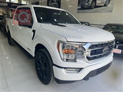 فۆرد F-150